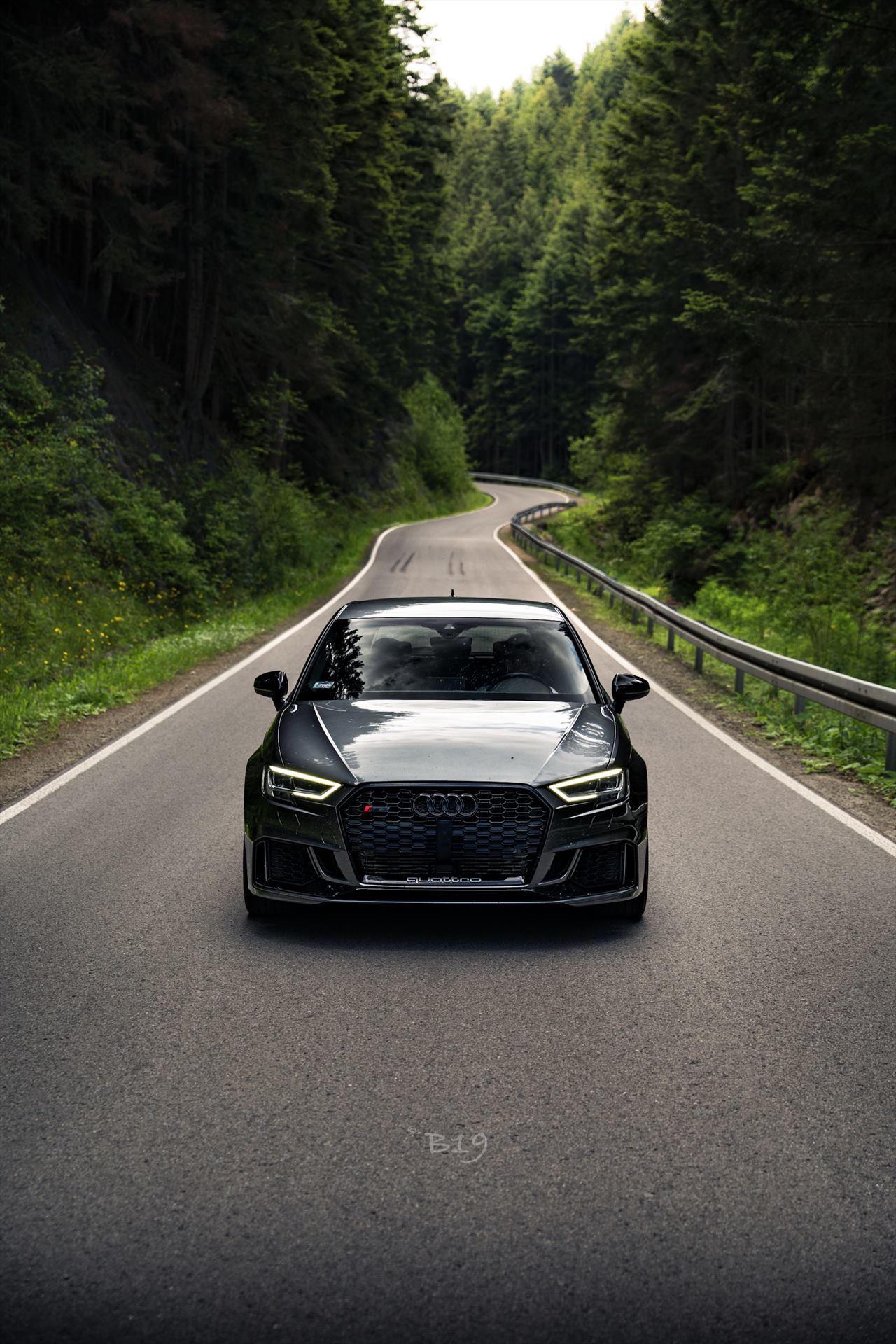 Audi RS3 8V Sportback